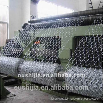 Anping Hexagonal Wire Mesh usine